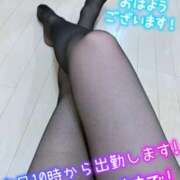 ヒメ日記 2025/09/06 08:01 投稿 白木 鶯谷人妻城