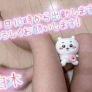 ヒメ日記 2025/09/28 08:30 投稿 白木 鶯谷人妻城