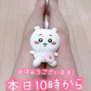 ヒメ日記 2025/09/30 08:15 投稿 白木 鶯谷人妻城