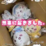 ヒメ日記 2025/11/25 01:04 投稿 白木 鶯谷人妻城