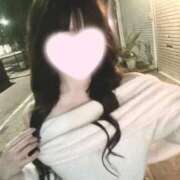 ヒメ日記 2025/04/08 18:00 投稿 ひめか 石庭