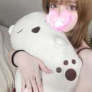 ヒメ日記 2025/04/29 20:00 投稿 ひめか 石庭