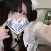 ヒメ日記 2025/06/01 01:40 投稿 ひめか 石庭