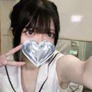 ヒメ日記 2025/06/06 18:20 投稿 ひめか 石庭