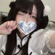 ヒメ日記 2025/06/07 00:30 投稿 ひめか 石庭