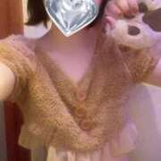 ヒメ日記 2025/06/09 07:20 投稿 ひめか 石庭