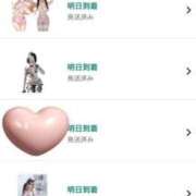 ヒメ日記 2025/06/12 21:22 投稿 ひめか 石庭