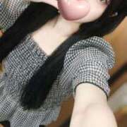 ヒメ日記 2025/06/28 13:30 投稿 ひめか 石庭