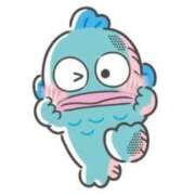 ヒメ日記 2025/08/27 18:37 投稿 ひめか 石庭