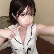 ヒメ日記 2025/09/04 14:20 投稿 ひめか 石庭