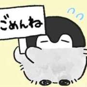 ヒメ日記 2025/09/15 10:55 投稿 ひめか 石庭