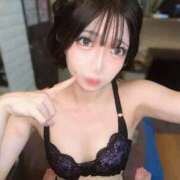 ヒメ日記 2025/09/16 16:01 投稿 ひめか 石庭