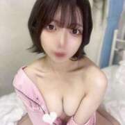 ヒメ日記 2025/09/25 17:50 投稿 ひめか 石庭