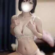 ヒメ日記 2025/10/03 13:20 投稿 ひめか 石庭