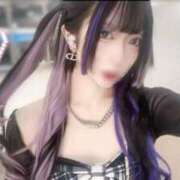 ヒメ日記 2025/10/05 15:20 投稿 ひめか 石庭