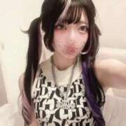 ヒメ日記 2025/10/10 07:23 投稿 ひめか 石庭