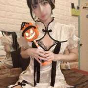 ヒメ日記 2025/10/10 16:25 投稿 ひめか 石庭