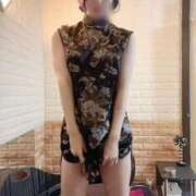 ヒメ日記 2025/10/13 18:50 投稿 ひめか 石庭