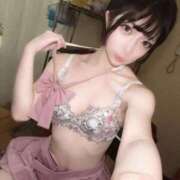 ヒメ日記 2025/10/15 00:50 投稿 ひめか 石庭