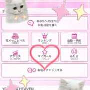 ヒメ日記 2025/10/15 22:14 投稿 ひめか 石庭