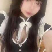 ヒメ日記 2025/10/16 06:20 投稿 ひめか 石庭