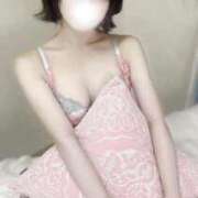 ヒメ日記 2025/10/16 17:32 投稿 ひめか 石庭