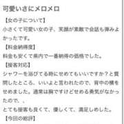 ヒメ日記 2025/10/17 06:40 投稿 ひめか 石庭