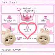 ヒメ日記 2025/10/17 22:20 投稿 ひめか 石庭