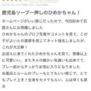 ヒメ日記 2025/10/18 20:20 投稿 ひめか 石庭