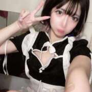 ヒメ日記 2025/10/21 18:00 投稿 ひめか 石庭