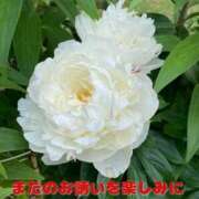 ヒメ日記 2025/05/24 20:54 投稿 こはる 美熟女倶楽部Hip's 春日部店