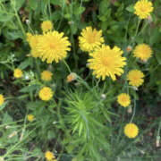 ヒメ日記 2025/05/30 12:56 投稿 こはる 美熟女倶楽部Hip's 春日部店