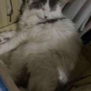 ヒメ日記 2025/06/08 06:54 投稿 こはる 美熟女倶楽部Hip's 春日部店