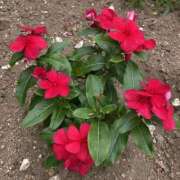 ヒメ日記 2025/06/10 19:14 投稿 こはる 美熟女倶楽部Hip's 春日部店