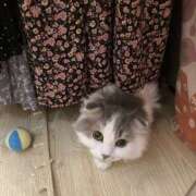 ヒメ日記 2025/06/15 20:57 投稿 こはる 美熟女倶楽部Hip's 春日部店