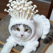 ヒメ日記 2026/04/11 19:32 投稿 こはる 美熟女倶楽部Hip's 春日部店