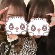 ヒメ日記 2026/02/11 09:57 投稿 るい ハッピーブリッジ