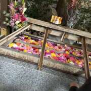 ヒメ日記 2025/04/03 13:50 投稿 あいり Vitamin〜ビタミン〜