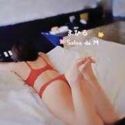 ヒメ日記 2025/04/03 18:20 投稿 まひる Salon du Mーえっちなお姉さんのM性感デリバリーー大阪店