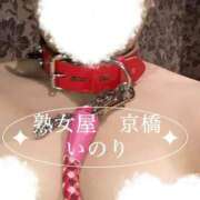 ヒメ日記 2025/10/11 13:28 投稿 いのり 熟女家 京橋店