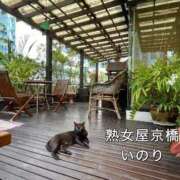ヒメ日記 2026/05/08 21:06 投稿 いのり 熟女家 京橋店