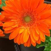 ヒメ日記 2025/04/22 14:53 投稿 こころ 熟女の風俗最終章 所沢店