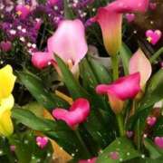 ヒメ日記 2025/04/25 17:23 投稿 こころ 熟女の風俗最終章 所沢店