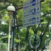 ヒメ日記 2025/05/06 09:23 投稿 こころ 熟女の風俗最終章 所沢店