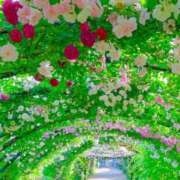 ヒメ日記 2025/06/16 14:29 投稿 こころ 熟女の風俗最終章 所沢店