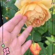 ヒメ日記 2025/06/18 14:03 投稿 こころ 熟女の風俗最終章 所沢店