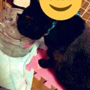 ヒメ日記 2025/04/19 16:00 投稿 ことは 木更津人妻花壇