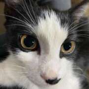 ヒメ日記 2025/04/20 17:02 投稿 ことは 木更津人妻花壇