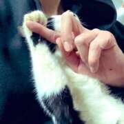 ヒメ日記 2025/04/30 19:43 投稿 ことは 木更津人妻花壇