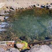 ヒメ日記 2025/06/18 15:09 投稿 ことは 木更津人妻花壇